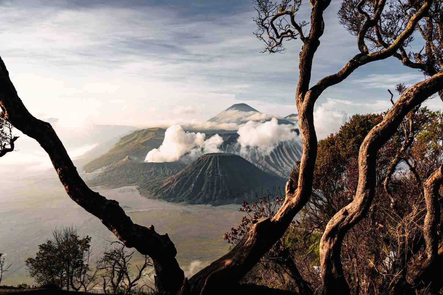 Wisata Bromo